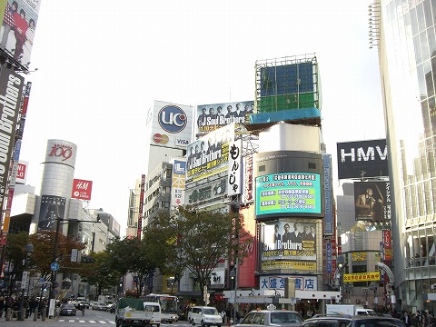 2010.11.11.jpg