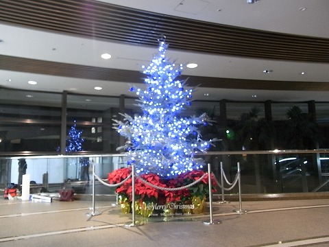 2011.12.02_1.jpg